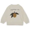 Hoodies Sweatshirts Kids Sweatshirts for Boys Girls Cute Long Sweeve Sweatshirts Children's Cotton Pullover Top 230905