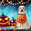 Andra evenemangsfestleveranser Halloween Dog Elf Candy Bowl Ornament Pumpkin Festival Party Decoration Gift Home Storage Supplies Halloween Decors Accessories 230905