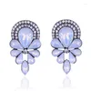 Boucles d'oreilles fleur belle pierre de cristal acrylique Piercing femmes strass bijoux de mode pour fête de noël