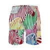 Pantaloncini da uomo Zebra colorata Palestra Texture estiva Animali selvatici Surf Spiaggia Pantaloni corti Asciugatura rapida Divertenti bauli personalizzati taglie forti