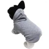 Vêtements pour chiens Vêtements d'hiver simples Chihuahua Chiot doux Couleur unie Design Pull chaud avec chapeau Vêtements de mode pour chiens de compagnie Chats Tendance