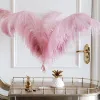 Décoration de fête aux plumes autruches blanches naturelles 20-25 cm décoration de plumes colorées plumage plumage célébration 100pcs / lot