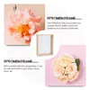 Frames Dried Flower Po Frame Transparent Three-dimensional Pressed Flowers Show Glass Picture Specimen Display Box Wood DIY Dry