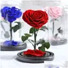 Couronnes de fleurs décoratives séchées rose rouge dans un dôme de verre sur base noire pour les cadeaux de la Saint-Valentin Fleur éternelle Décor de Noël Ho Dhi9K