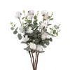 Fiori decorativi Cotone naturalmente essiccato Foglie di eucalipto artificiale Steli Piante Ramo floreale per decorazioni rustiche per feste di matrimonio