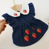 Vêtements pour chiens printemps automne vêtements pour animaux de compagnie imprimé fraise robes de princesse pour petit moyen chiot vêtements jupes manteau Yorkshire