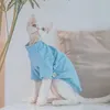 Kattdräkter kläder för Sphynx blå randig bomullsutrymme Devon Rex Långärmar Vinterbeläggning Kattungar Dogs Autumnpet Produkt