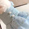 Vêtements d'été pour chiens, section fine, robe de princesse de rêve bleue, en dentelle délicate, pour chiot, Bichon Yorkshire maltais, vêtements mignons et mignons