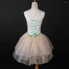 Stage Wear Princess Dance Tutu Robe Ballet Broderie Ruban Performance