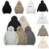 Designer Hommes Sweats à capuche Essentialclothing Pull Sweatshirts 1977 pour hommes Homme Lâche À Manches Longues À Capuche Pulls De Luxe À Capuche Coton Lettre Ess