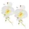 Fiori decorativi 2 pezzi Fiore da polso Abito da sposa Fiore all'occhiello Matrimonio Puntelli grafici Prom Phalaenopsis Coppia di seta da uomo