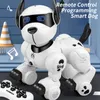 ElectricRC Animals K27 Telecomando Smart Dog Robotic Patrol Giocattolo intelligente programmabile con le canzoni 230906