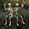 Andra evenemangsfest levererar stora halloween skelett plastsimulering Skull Anatomisk modell Haunted House Bar Decoratio 230906