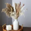 Fiori decorativi naturali essiccati con vaso Decorazioni per la tavola di nozze Bouquet di erba di pampa in composizioni floreali natalizie Decorazione domestica