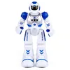 ElectricRC Animals Remote Control Robot Smart Action Walk Singing Dance Figure Gesture Sensor Toys Gift for KID Girl 230906