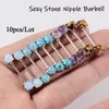 Labret Lippenpiercing-Schmuck, 10 Stück, Stahl-Nippel-Langhantel-Ring mit Amethyst-Stein, bezaubernder Körper für Frauen, Großhandel 230906