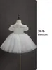 Girl Dresses One-year-old Baby Birthday Party Dress Children's Princess Puffy Gauze Skirt Female Piano Flower Child Performance