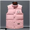 Gilet Giù Giacca da uomo Cappotto Designer da donna Gilet invernale Giacche Moda Parka Classico Canadian Goose Moda Tendenza Coppia Cappotto24 S1411223275773