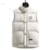 Vests Down Mens Jacket Coat Womens Designer Winter Vest Jackets Fashion Parkas Classic Canadian Goose Fashion Trend Couple Coat24 S3293287318549