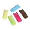 Mode Mini dents meulage cataire jouets drôle interactif en peluche chat jouet animal chaton à mâcher griffes vocales pouce morsure jouets