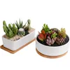 Figurines décoratives rectangulaires de forme ovale, soucoupe en bois de bambou, plateau pour plantes, Mini pot de fleurs, support pour plantes succulentes, Design Simple et élégant