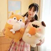 Coscia di pollo coccolosa all'ingrosso Shiba Inu peluche gioco per bambini compagno di giochi Premi macchina per bambole regalo di festa