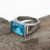 Anéis de cluster anel de moda masculina luxo e dominante azul zircão casamento noivado festa jóias presente vendas diretas tamanhos 6-13