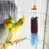 Outros suprimentos de pássaros papagaio mastigar brinquedo brinquedos pendurado mordida longa cauda madeira animal de estimação periquito equilíbrio trem balanço