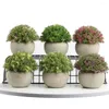 Fleurs décoratives plantes artificielles en pot vert bonsaï succulentes petite herbe ornement fausse plante pour la maison jardin fête de mariage décor