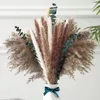 Flores decorativas phragmites pampas grama natural seca com buquê fofo acessórios de decoração de casamento arranjo boho