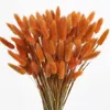 Decorative Flowers 100Pcs Wedding Floral Dry Lagurus Ovatus Tails Dried Exquisite Home Decoration DIY Living Room Decor