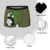 Underbyxor Panda Genma Saotome Bambooranma 12 Anime Breathbale Trosies Herrkläder Bekväma Shorts Boxer