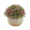 Fleurs décoratives plantes artificielles en pot vert bonsaï succulentes petite herbe ornement fausse plante pour la maison jardin fête de mariage décor