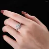 Cluster Rings HOYON Inlaid Hearts And Arrows Princess Diamond Style Ring European American Full Crystal Zircon Micro-set Engagement