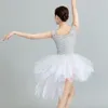 Scene Wear Light Grey paljett Ballet Tutu Tricot Performance Dance Dress Sawtooth Party