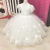 Flickaklänningar Flower Feather 3D Butterflies Wedding Kids Party Birthday Ball Gown First Commonion Pageant Clothes