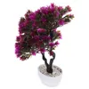 Dekorativa blommor japansk dekor hem konstgjord blomma emulerad tall bonsai plast simulering prydnad dekoration imitation kontor