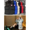 Vests Down Mens 재킷 코트 여성 디자이너 Winter Vest Jackets Fashion Parkas 클래식 캐나다 거위 패션 트렌드 커플 코트 24 S64020626230