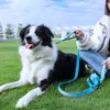 Hundhalsar kopplar 08 tum husdjur koppel med matpåse promenader traktion rep handfree bungee foder skålar lagring väska 230906