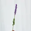 Conjunto de flores decorativas de 10 fios de algodão, crochê acabado, buquê de flores artificiais de lavanda, presente artesanal para amigos, decoração de casa