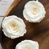 Fiori decorativi 8 pz/scatola teste di fiori di rosa fresca conservata 4-5 cm rose secche per orsacchiotto fatto a mano regalo di disposizione eterna fai da te