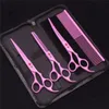 Scissors Shears 70 Pet Grooming Set Japanese Steel Straight Curved Dog Cat Cutting Thinning Hair Comb Hemostatic Forceps Z3103 230906