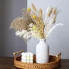 Fiori decorativi naturali essiccati con vaso Decorazioni per la tavola di nozze Bouquet di erba di pampa in composizioni floreali natalizie Decorazione domestica