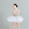 Scene Wear Light Grey paljett Ballet Tutu Tricot Performance Dance Dress Sawtooth Party