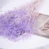 Dekoracyjne kwiaty suszone oddech Baby Miękki miękki mini konserwowany gipsophila kwiat na imprezę ślubną wystrój domu kwiecisty aranżacja DIY rzemiosło