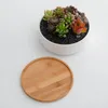 Estatuetas decorativas retângulo formato oval pires de madeira de bambu bandeja de plantas mini vaso de flores suporte suculento design simples e elegante