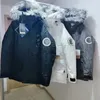 2023 homens inverno mulheres gola de pele com capuz bordado jaqueta norte quente parka rosto homens puffer carta impressão outwear jaquetas de impressão