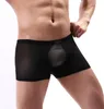 Onderbroeken Jeugd Sexy Mesh Transparante Boxershorts Eén stuk Homo's Grappige Aro-broek voor heren Sissy Panties Ademende bodems