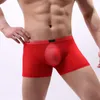 Onderbroeken Jeugd Sexy Mesh Transparante Boxershorts Eén stuk Homo's Grappige Aro-broek voor heren Sissy Panties Ademende bodems