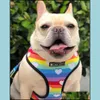 Dog Collars Leashes Dog Vest Harness No Pl Rainbow Printed Harnesses And Leashes Set Breathable Mesh Padded Puppy Collars For Small Oto4F